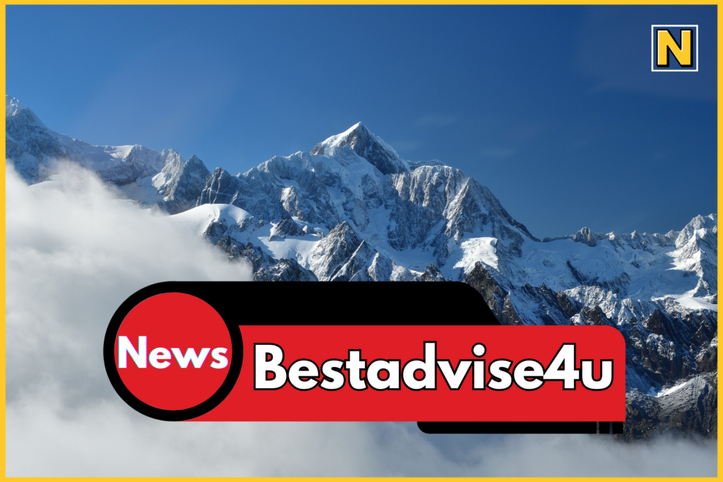 bestadvise4u.com news